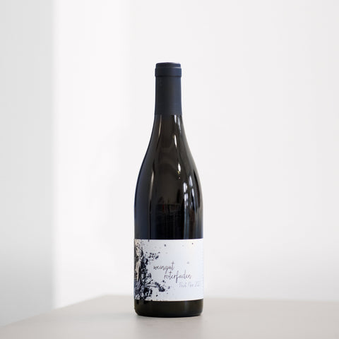 Pinot Noir 2023