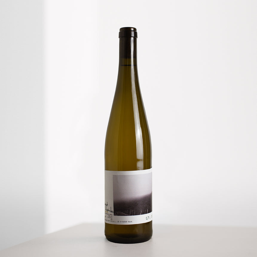 Riesling Thal 2024