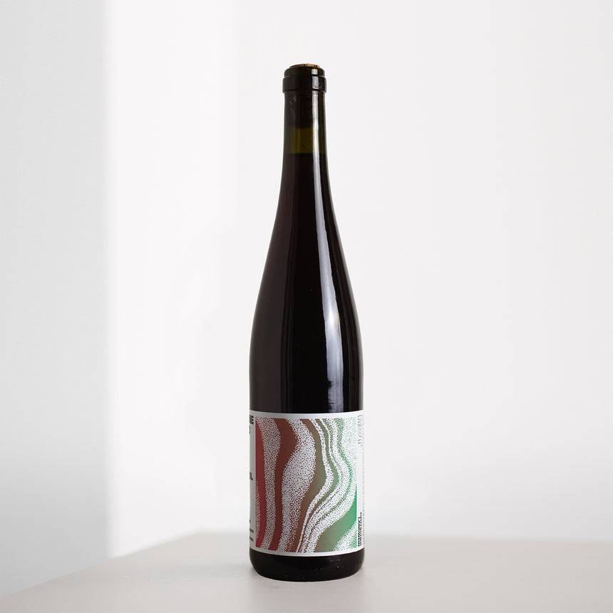 Spätburgunder 2024 (Domaine Hiphod)