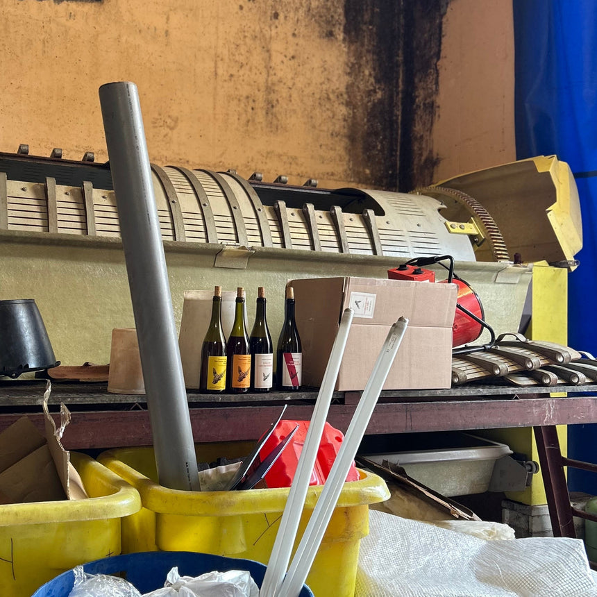 Yannick Meckert's one wine release has arrived.