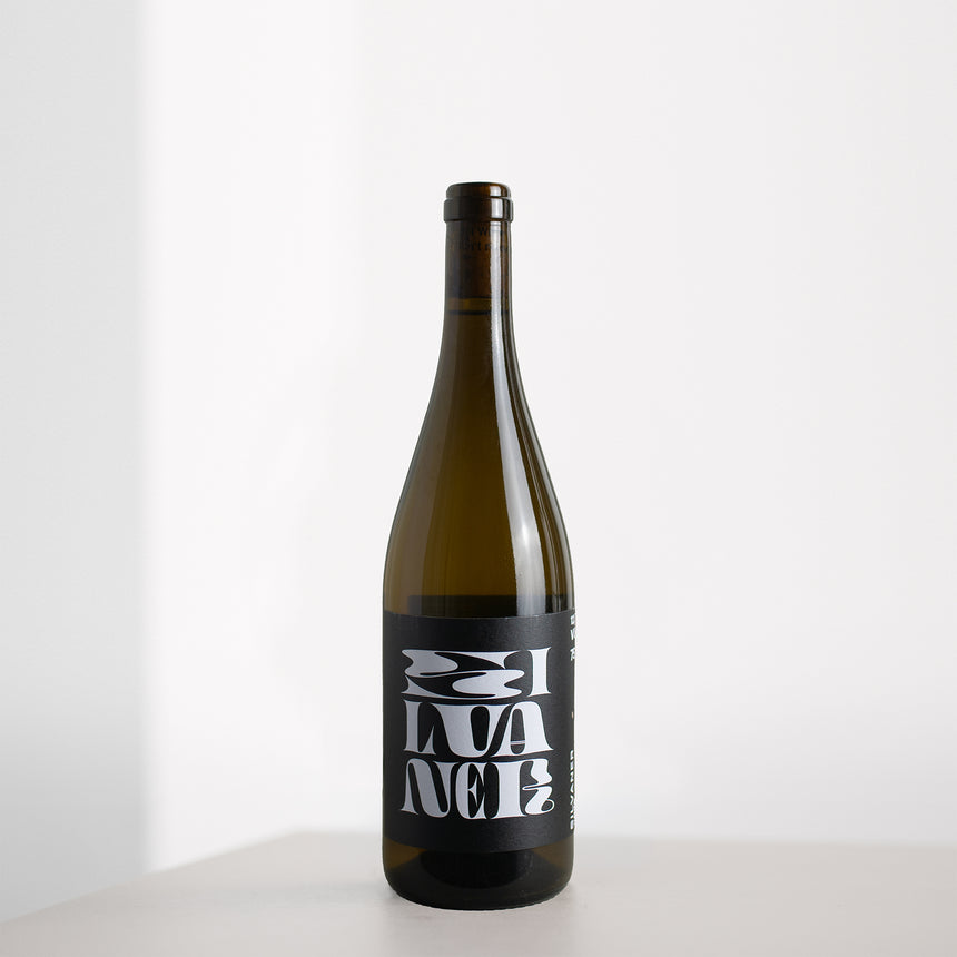 Silvaner 2025