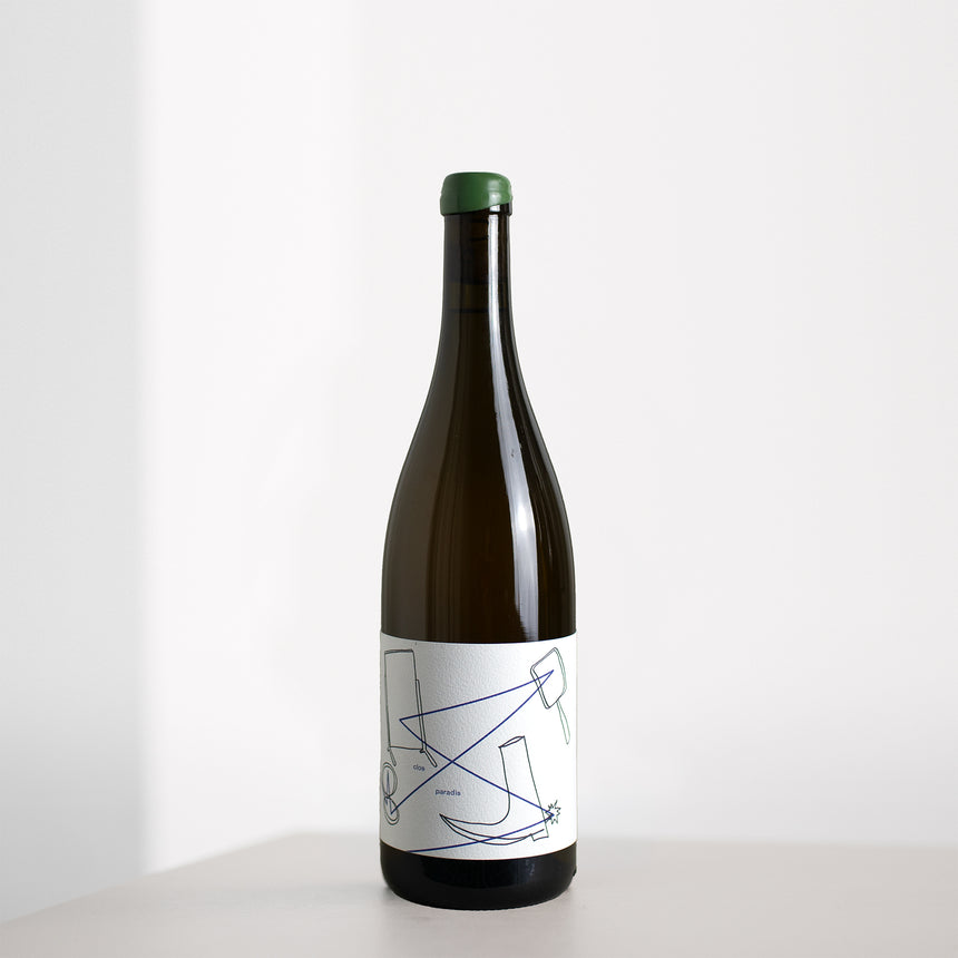 carrousel-de-tete-seckinger-clos-paradis-2023-riesling-off-grid